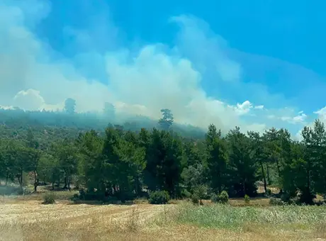 Muğla'da orman yangını! Havadan karadan müdahale