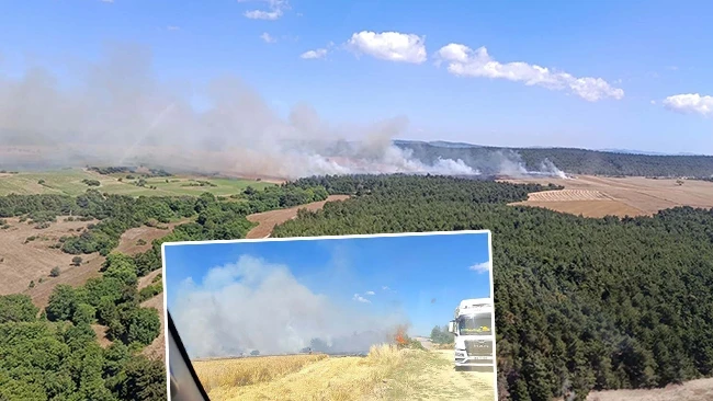 Çanakkale'de orman yangını: Alevlere havadan ve karadan müdahale başladı