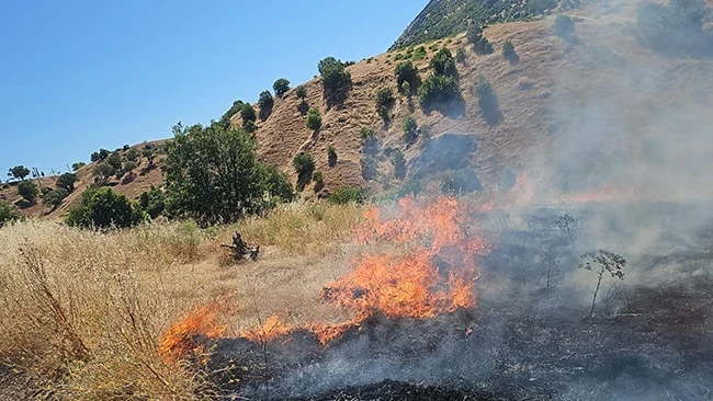 Diyarbakır'da örtü yangını: Ekiplere mahalle sakinleri de destek veriyor